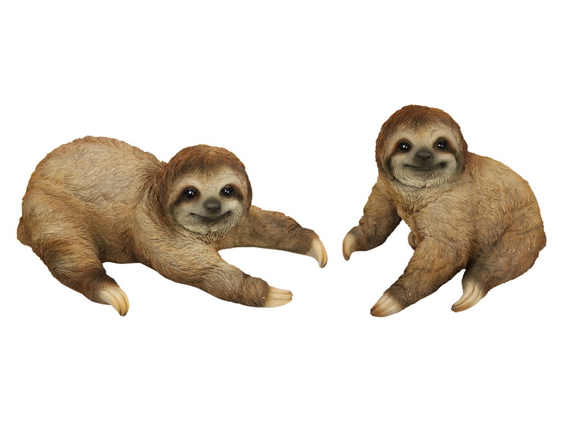Cute Lazy Sloth